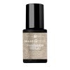 10ml Champagne 101