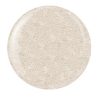 10ml Champagne 101 - Image 3